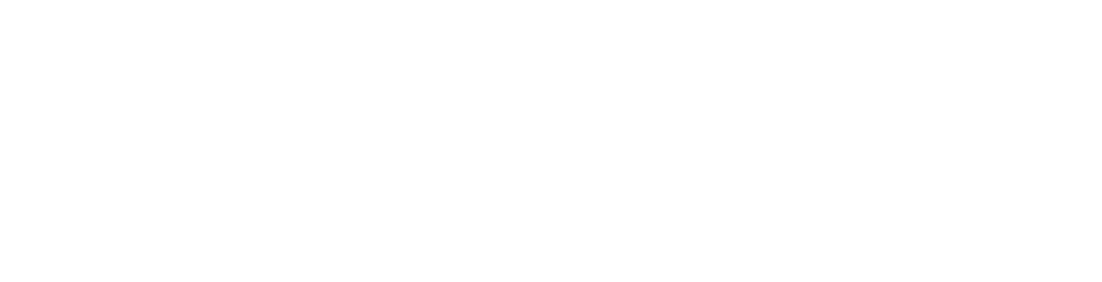 White horizontal logo